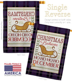 Believe in Joy of Sleigh - Christmas Winter Vertical Impressions Decorative Flags HG114181 Made In USA