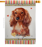 Long Hair Dachshund Happiness - Pets Nature Vertical Impressions Decorative Flags HG110170 Made In USA