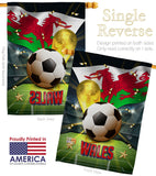 World Cup Wales - Sports Interests Vertical Impressions Decorative Flags HG190148 Made In USA