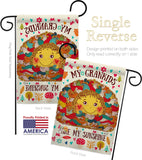 Grandkids Are My Sunshine - Family Special Occasion Vertical Impressions Decorative Flags HG137148 Made In USA
