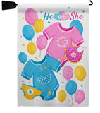 He Or She - Family Special Occasion Vertical Impressions Decorative Flags HG115262 Made In USA