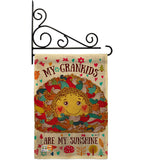 Grandkids Are My Sunshine - Family Special Occasion Vertical Impressions Decorative Flags HG137148 Made In USA