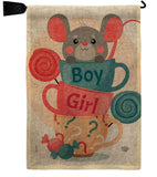 Mousy Boy Girl - Family Special Occasion Vertical Impressions Decorative Flags HG192674 Made In USA