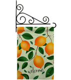 Welcome Lemon - Fruits Food Vertical Impressions Decorative Flags HG120256 Made In USA