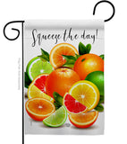 Sqeeze the Day - Fruits Food Vertical Impressions Decorative Flags HG192517 Made In USA