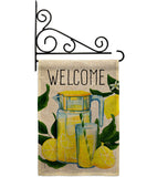 Refreshing Lemonade - Fruits Food Vertical Impressions Decorative Flags HG117080 Made In USA