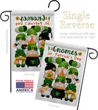 St Pat Buddy - Bugs Frogs Garden Friends Vertical Impressions Decorative Flags HG120304 Made In USA