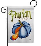 Pumpkin Season - Harvest & Autumn Fall Vertical Impressions Decorative Flags HG192658 Made In USA