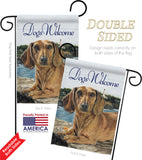 Dachshund - Pets Nature Vertical Impressions Decorative Flags HG110003 Made In USA