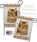 Amerian Curl Happiness - Pets Nature Vertical Impressions Decorative Flags HG110144 Made In USA