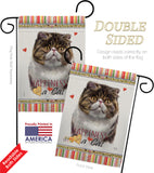 Exotic Short Hair Happiness - Pets Nature Vertical Impressions Decorative Flags HG110177 Made In USA