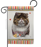 Exotic Short Hair Happiness - Pets Nature Vertical Impressions Decorative Flags HG110177 Made In USA