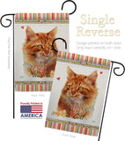 Tuxedo Cat - Pets Nature Vertical Impressions Decorative Flags HG110079 Made In USA