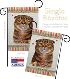 Scot Fold Happiness - Pets Nature Vertical Impressions Decorative Flags HG110238 Made In USA