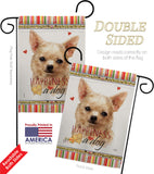 Apple Head Chihuahua Happiness - Pets Nature Vertical Impressions Decorative Flags HG110248 Made In USA