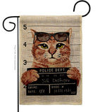 Bad Kitty - Pets Nature Vertical Impressions Decorative Flags HG137530 Made In USA