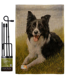 Border Collie - Pets Nature Vertical Impressions Decorative Flags HG110077 Made In USA