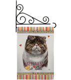 Exotic Short Hair Happiness - Pets Nature Vertical Impressions Decorative Flags HG110177 Made In USA