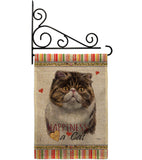 Exotic Short Hair Happiness - Pets Nature Vertical Impressions Decorative Flags HG110177 Made In USA