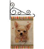 Apple Head Chihuahua Happiness - Pets Nature Vertical Impressions Decorative Flags HG110248 Made In USA
