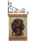 Blue Long Hair Dachshund Happiness - Pets Nature Vertical Impressions Decorative Flags HG110251 Made In USA