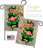 The Lucky Irish - St Patrick Spring Vertical Impressions Decorative Flags HG102059 Made In USA