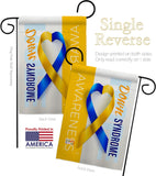 Down Syndrome Awareness - Support Inspirational Vertical Impressions Decorative Flags HG115210 Made In USA