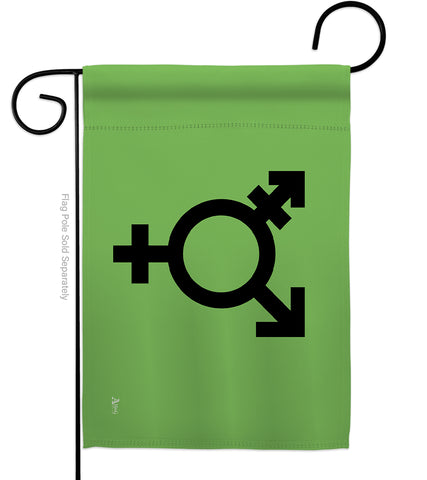 Israeli transgender and genderqueer - Support Inspirational Vertical Impressions Decorative Flags HG148011 Made In USA