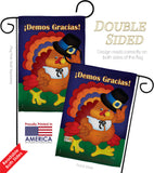 ¡Demos Gracias! - Thanksgiving Fall Vertical Impressions Decorative Flags HG120027 Made In USA