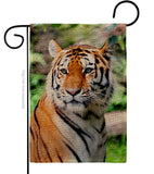 Life Of Tiger - Wildlife Nature Vertical Impressions Decorative Flags HG110281 Made In USA