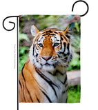 Life Of Tiger - Wildlife Nature Vertical Impressions Decorative Flags HG110281 Made In USA