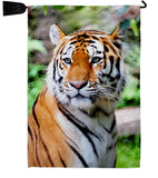 Life Of Tiger - Wildlife Nature Vertical Impressions Decorative Flags HG110281 Made In USA