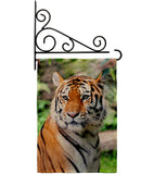 Life Of Tiger - Wildlife Nature Vertical Impressions Decorative Flags HG110281 Made In USA