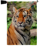 Life Of Tiger - Wildlife Nature Vertical Impressions Decorative Flags HG110281 Made In USA