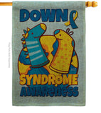 Down Syndrome Sock - Support Inspirational Vertical Impressions Decorative Flags HG130424 Made In USA