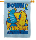 Down Syndrome Sock - Support Inspirational Vertical Impressions Decorative Flags HG130424 Made In USA