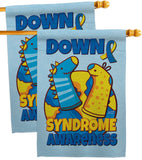 Down Syndrome Sock - Support Inspirational Vertical Impressions Decorative Flags HG130424 Made In USA