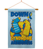 Down Syndrome Sock - Support Inspirational Vertical Impressions Decorative Flags HG130424 Made In USA