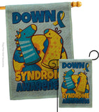 Down Syndrome Sock - Support Inspirational Vertical Impressions Decorative Flags HG130424 Made In USA