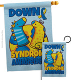 Down Syndrome Sock - Support Inspirational Vertical Impressions Decorative Flags HG130424 Made In USA