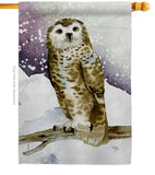 Winter Owl - Birds Garden Friends Vertical Impressions Decorative Flags HG105067 Made In USA