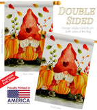 Pumpkins Gnome - Bugs & Frogs Garden Friends Vertical Impressions Decorative Flags HG104143 Made In USA