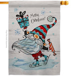 Ice Skating Gnome - Bugs & Frogs Garden Friends Vertical Impressions Decorative Flags HG104149 Made In USA