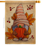 Autumn Gnome - Bugs & Frogs Garden Friends Vertical Impressions Decorative Flags HG104163 Made In USA