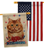 Patriotic Brown Dilute Calico - Pets Nature Vertical Impressions Decorative Flags HG120139 Made In USA