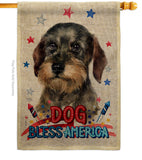 Patriotic Wire Haired Dachshund - Pets Nature Vertical Impressions Decorative Flags HG120135 Made In USA