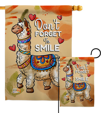 Don't Forget to Smile - Expression Inspirational Vertical Impressions Decorative Flags HG137092 Made In USA