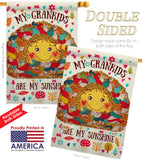 Grandkids Are My Sunshine - Family Special Occasion Vertical Impressions Decorative Flags HG137148 Made In USA