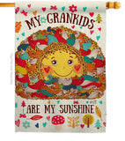 Grandkids Are My Sunshine - Family Special Occasion Vertical Impressions Decorative Flags HG137148 Made In USA