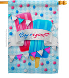 Gender Reveal - Family Special Occasion Vertical Impressions Decorative Flags HG137609 Made In USA